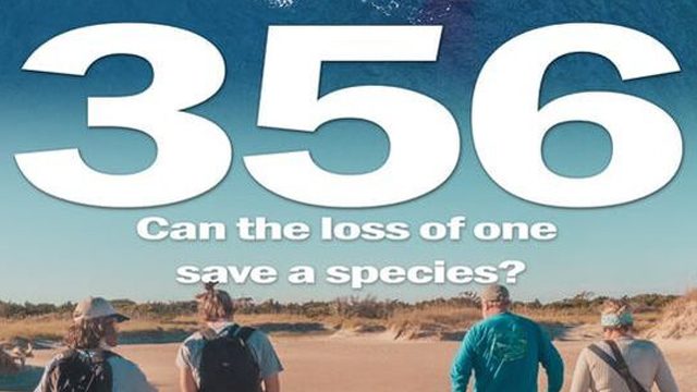 Local Film Pilot on Plight of North Atlantic Right Whale Accepted in 7 Film Festivals