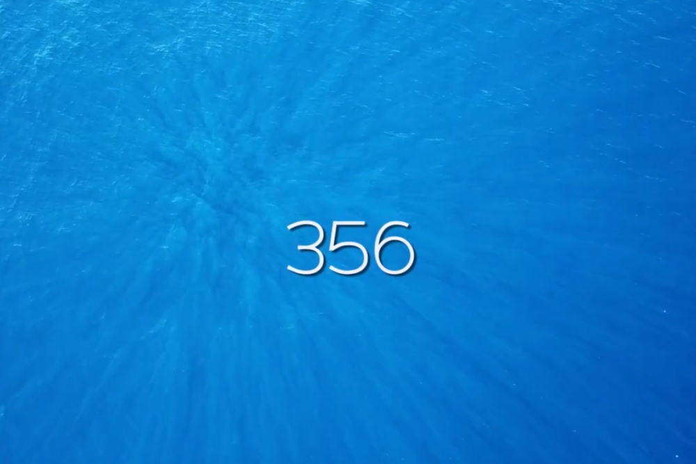 Home Video 356